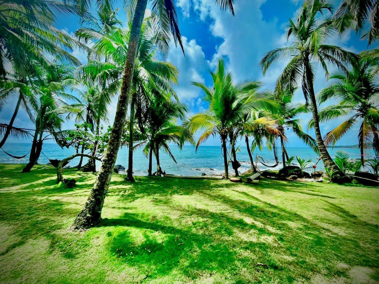 Guesthouse Island Escape South End Экстерьер фото