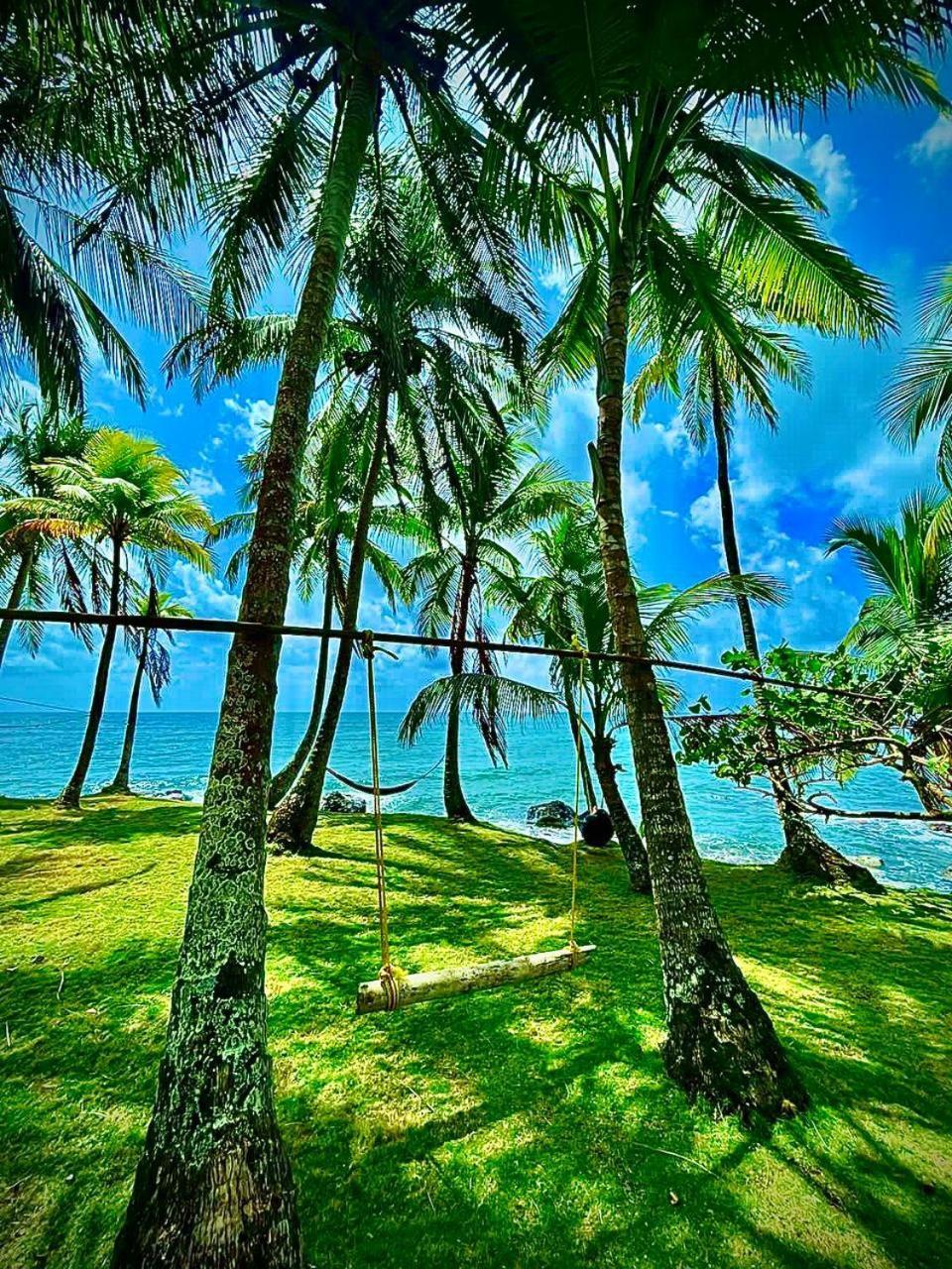 Guesthouse Island Escape South End Экстерьер фото