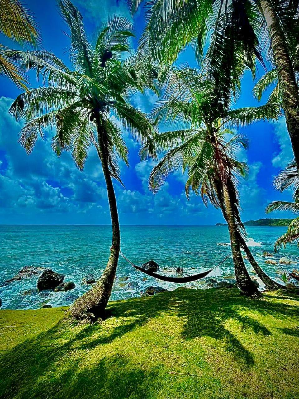 Guesthouse Island Escape South End Экстерьер фото
